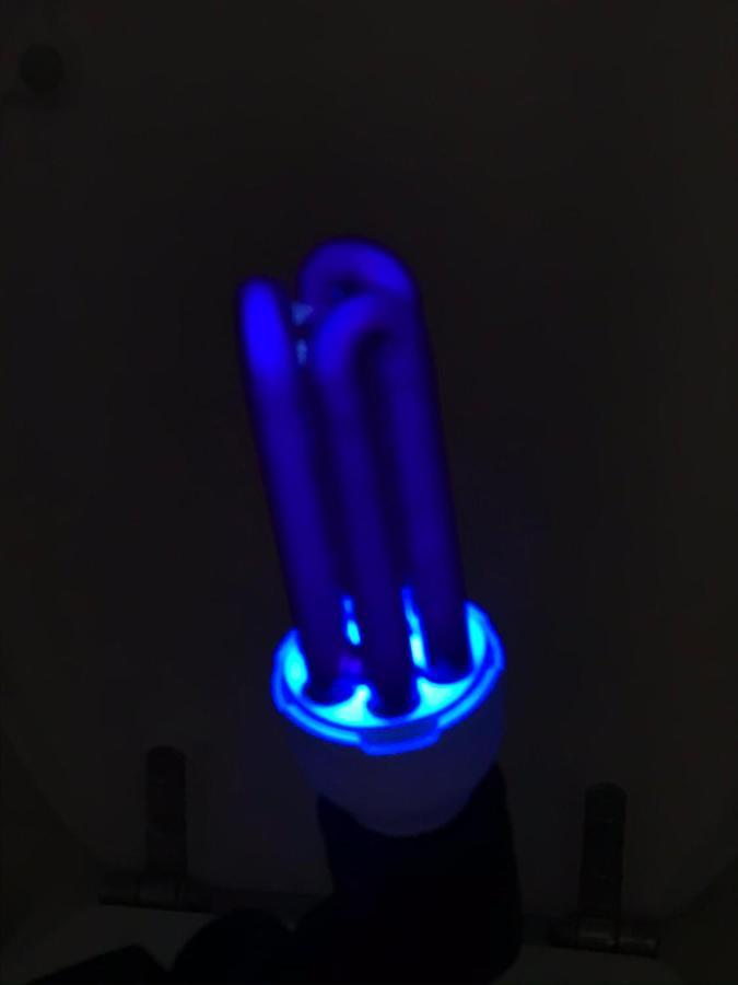 Apartament Flora Deluxe Naswietlanie Uv 비아위스토크 외부 사진